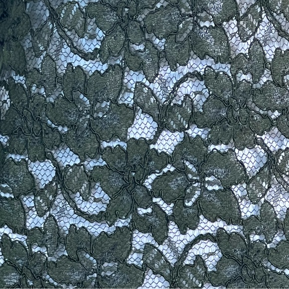 Diane Von Furstenberg Sheath Dress Olive Green Lace 3/4 Sleeve Sheer - Picture 7 of 8